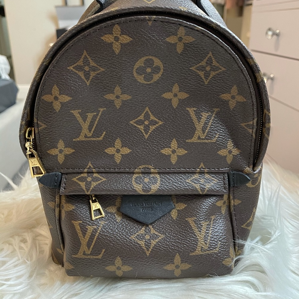 Louis Vuitton Palm Springs Mini Backpack